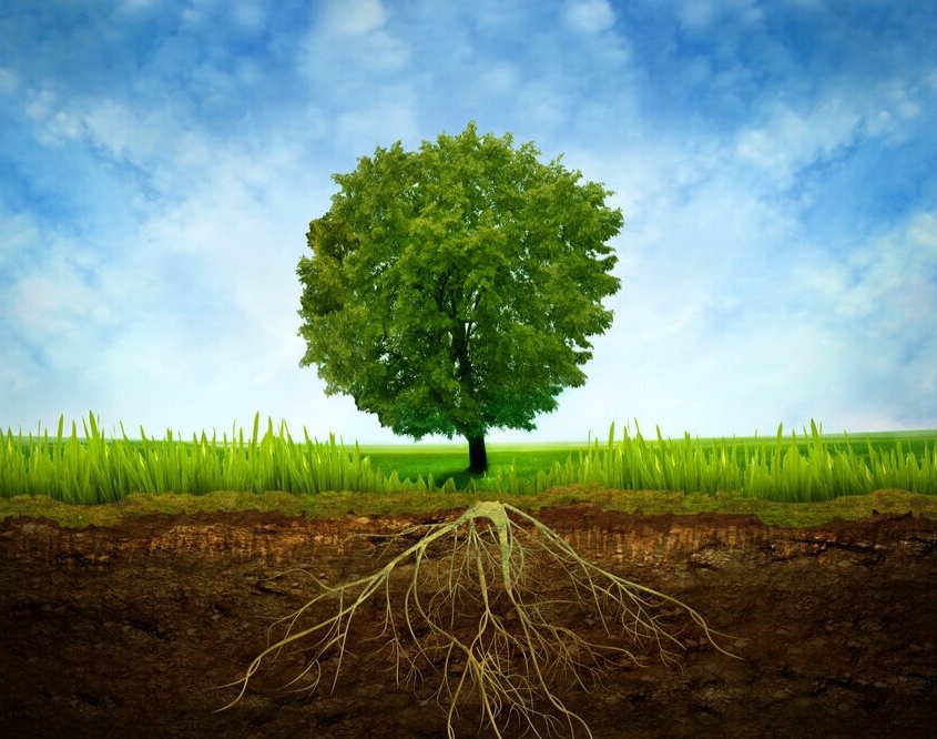 Wurzelbehandlung, Endodontie, Karies, Zahnschmerzen, Zahnarzt Ottobrunn